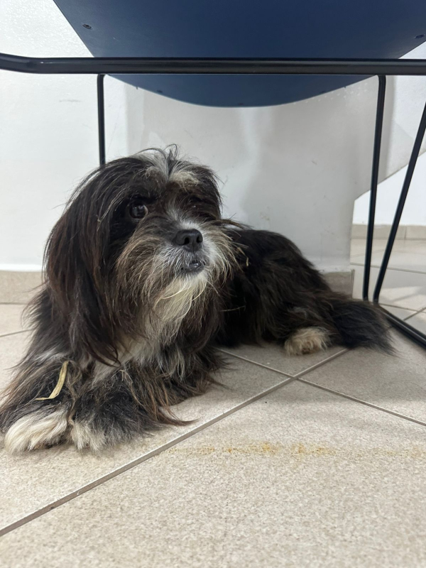 foto Not&iacute;cia Bebedouro