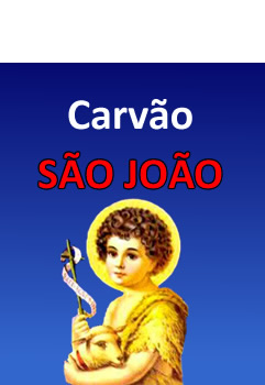 Carvão São João Bebedouro SP