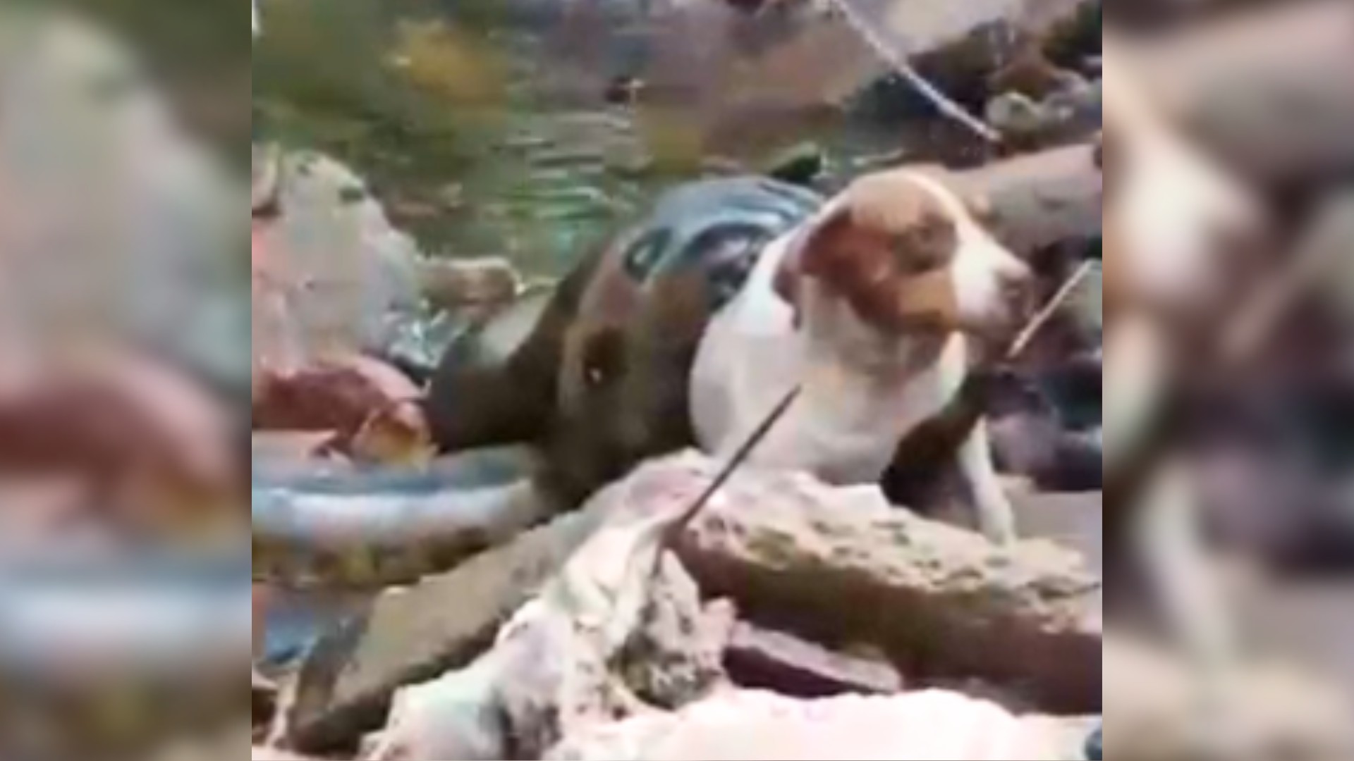 foto Not&iacute;cia Bebedouro