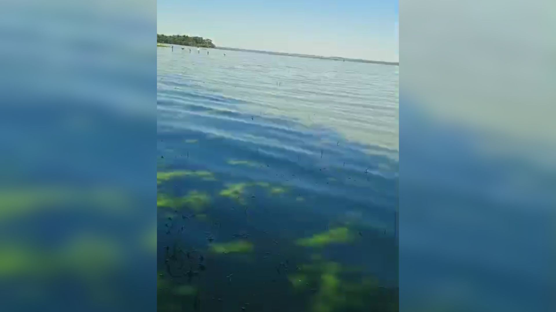 foto Not&iacute;cia Bebedouro