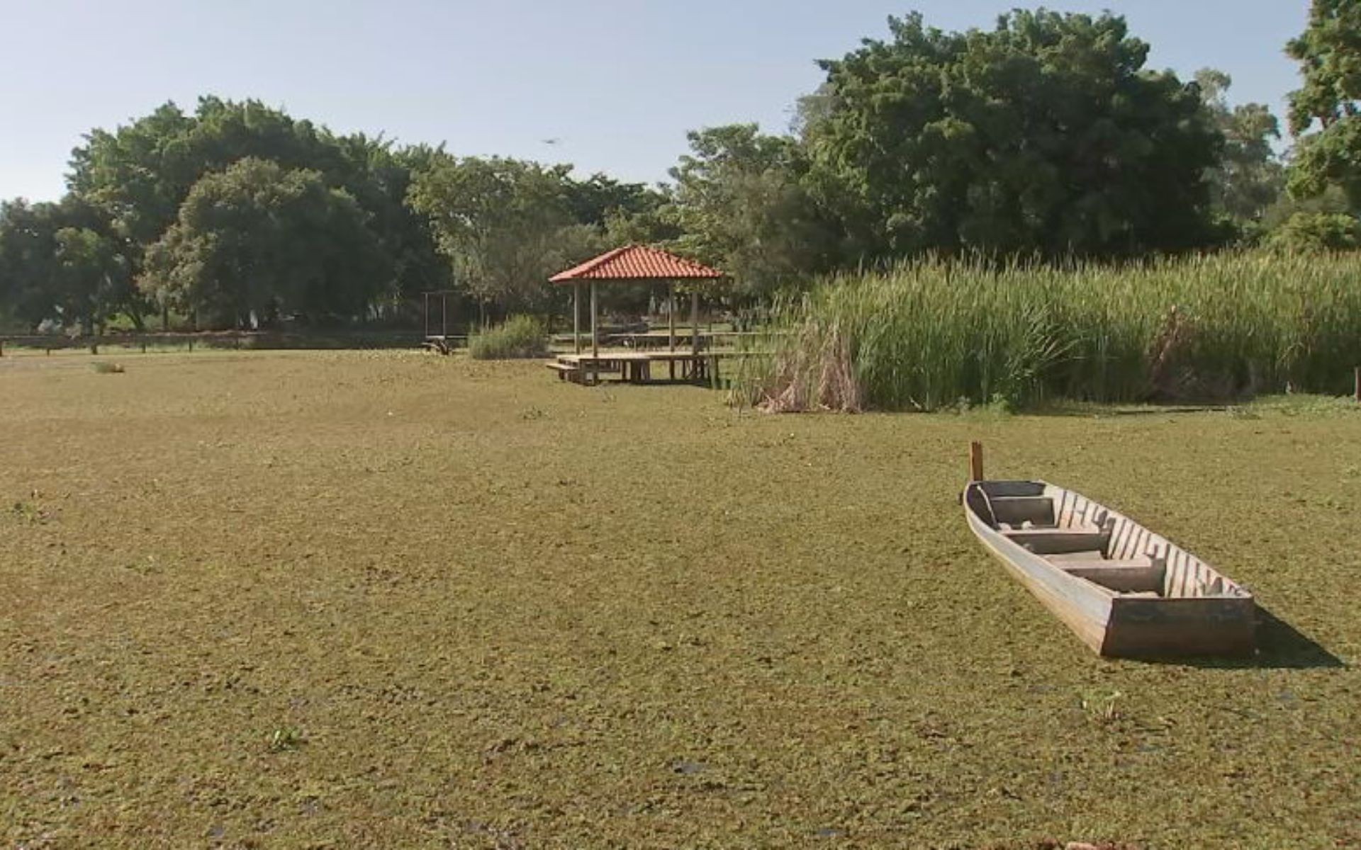 foto Not&iacute;cia Bebedouro