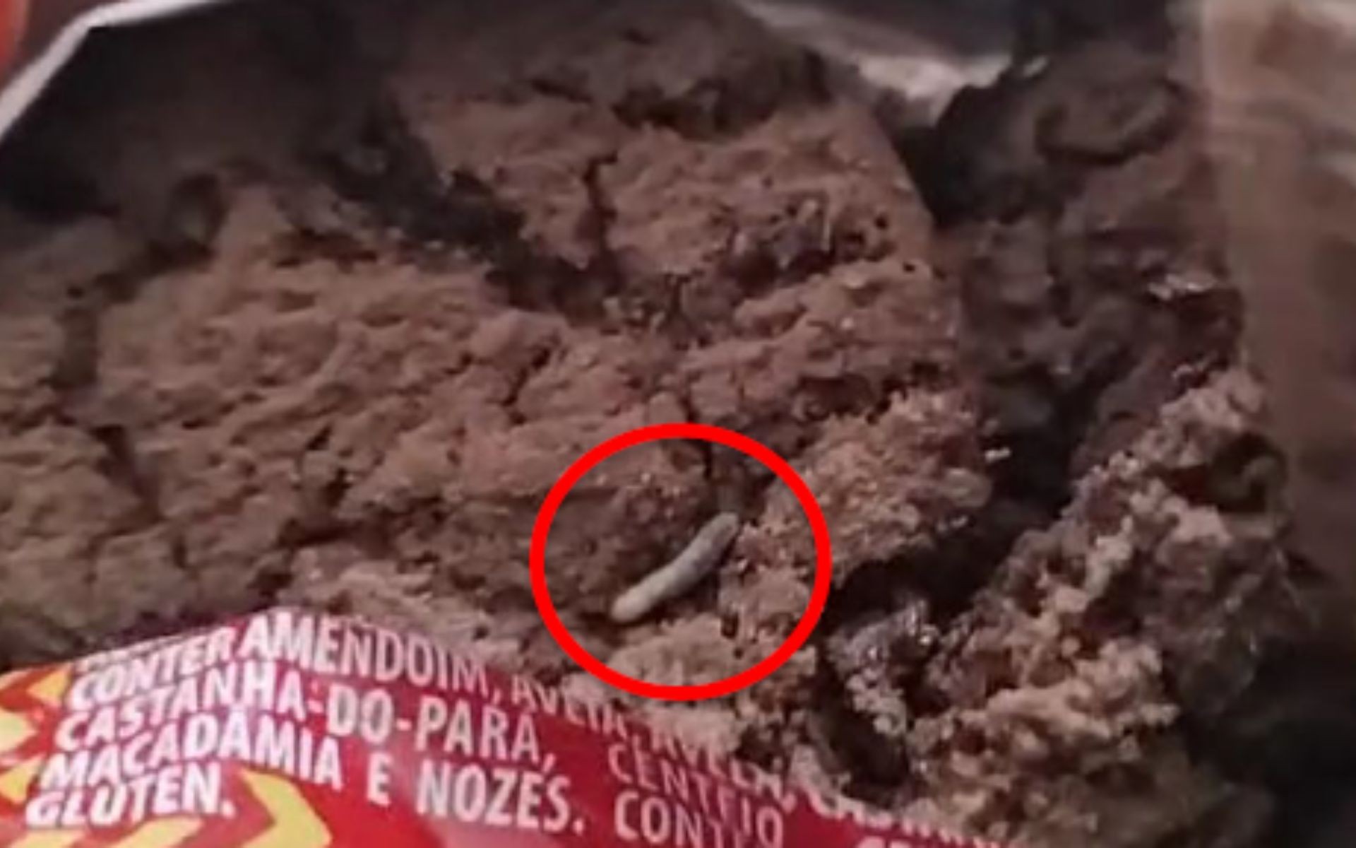 foto Not&iacute;cia Bebedouro